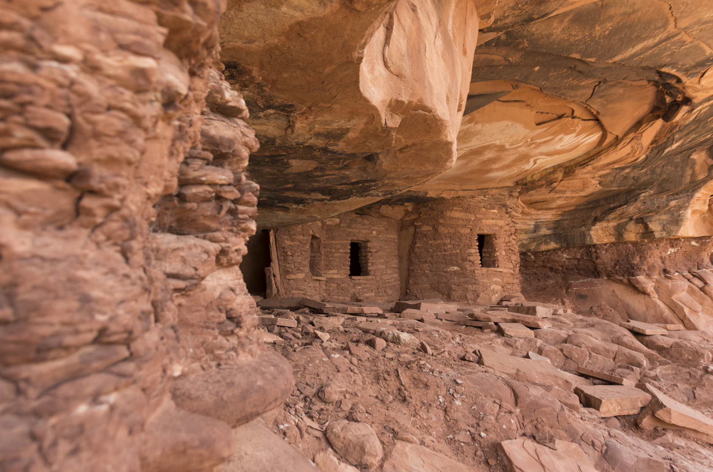 Wo der Bär seine Ohren hat