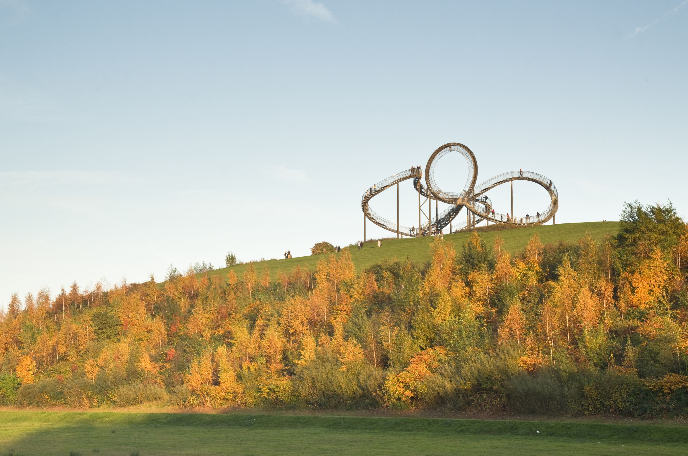 Treffen sich ein Tiger und eine Schildkröte...